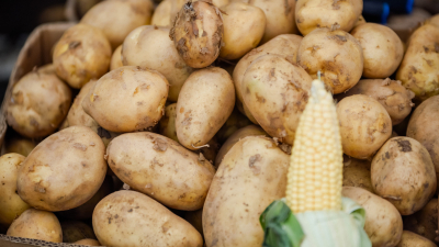 Нутрициолог Гусакова объяснила, чем опасна картошка в мундире