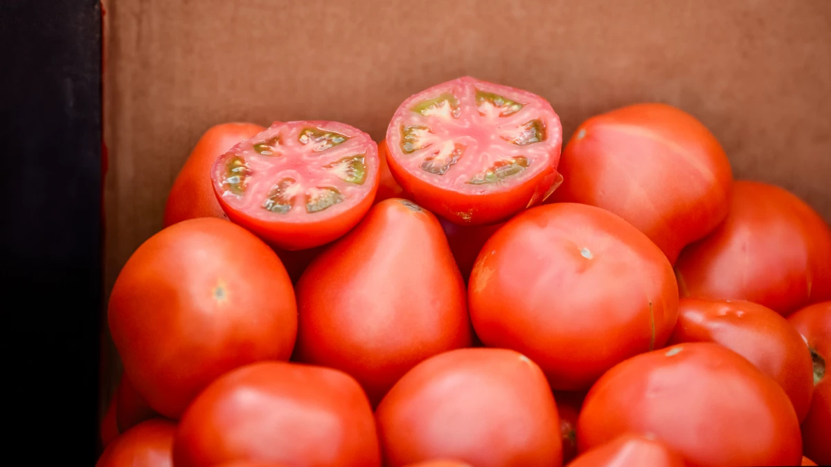 Эксперт: Как помочь томатам поскорее созреть в сентябре - tvspb.ru
