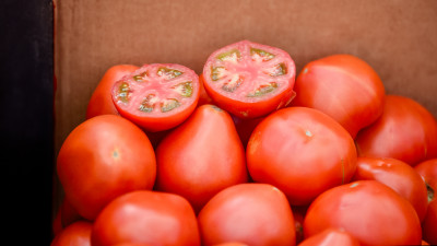 Эксперт: Как помочь томатам поскорее созреть в сентябре