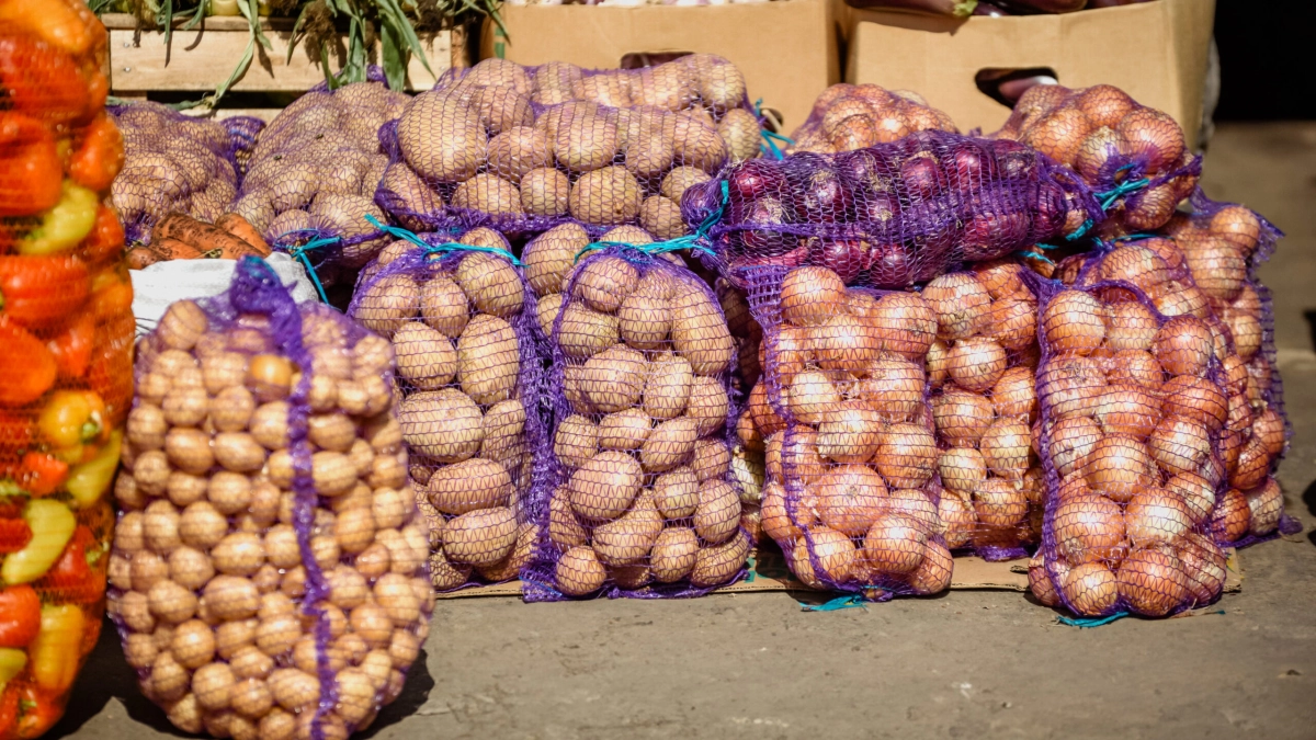 В Роскачестве объяснили, как выбрать картофель и где его хранить - tvspb.ru