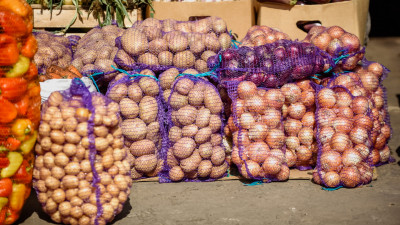 В Роскачестве объяснили, как выбрать картофель и где его хранить