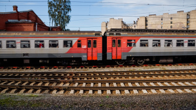 Под Петербургом поезд насмерть сбил лося