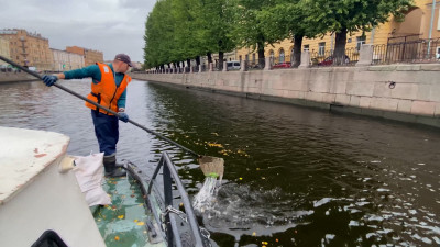 Канал Грибоедова очистили от наплавного мусора
