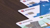 Использовать ЕКП как электронный читательский билет могут теперь петербуржцы