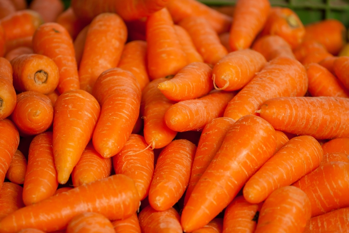 После каких культур нельзя сажать морковь