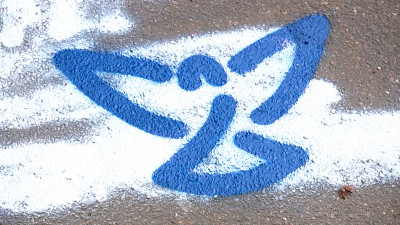 В 18 районах Петербурга провели акцию «Синяя птица — безопасная территория»