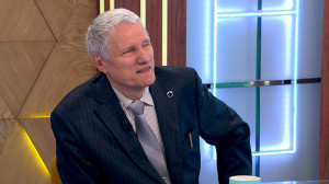 Биометрия для Шарика: пилотный проект по биометрической идентификации животных в Ленобласти