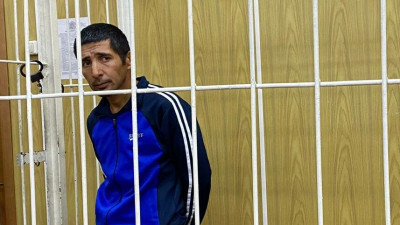 Иностранца, обвиняемого в краже 2,5 млн рублей у Юлии Рутберг, отправили в СИЗО