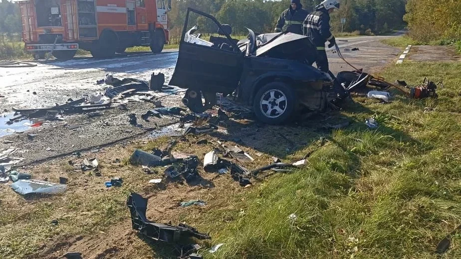 В лобовом ДТП под Кингисеппом погиб водитель «Лады»: в этом году он нарушил ПДД 21 раз - tvspb.ru