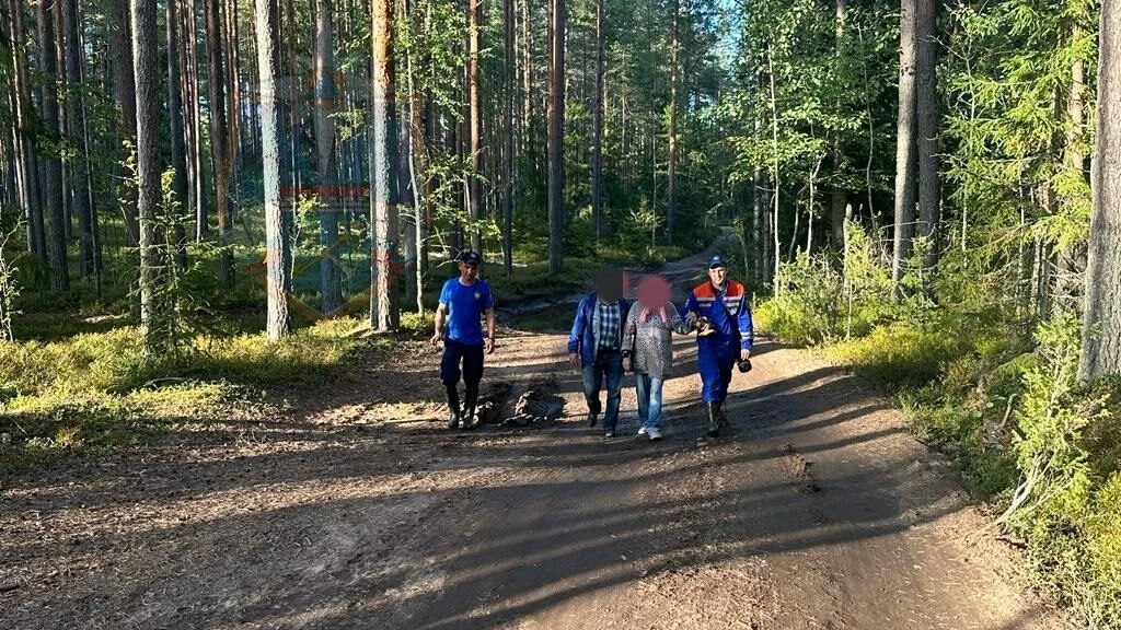 В лесу под Приозерском спасли заблудившуюся женщину - tvspb.ru