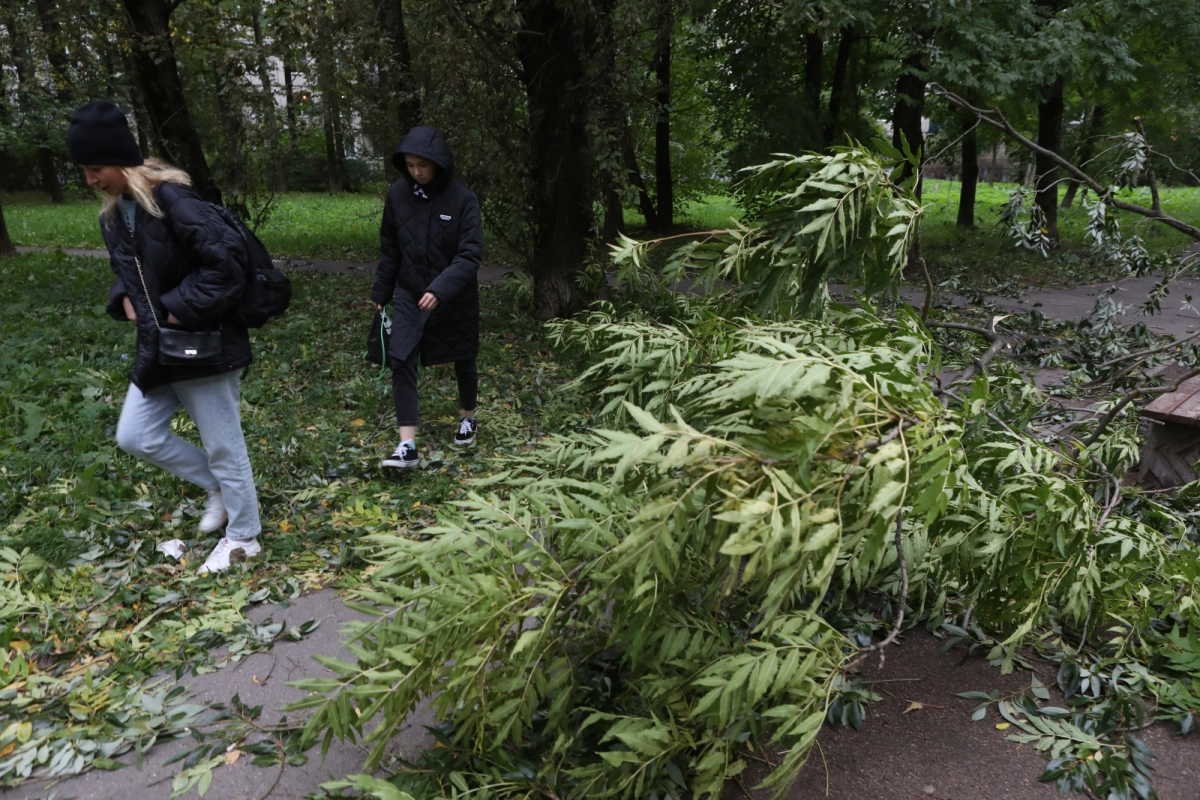 Спасатели совершили 17 выездов за сутки из-за последствий усиления ветра в Петербурге - tvspb.ru