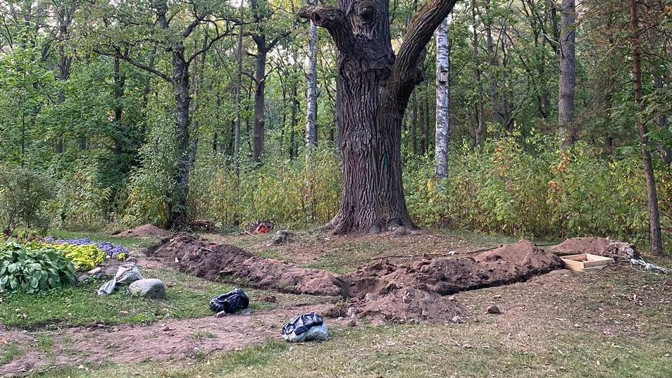 Найденные в Сестрорецке человеческие останки были захоронены ещё в начале XX века - tvspb.ru