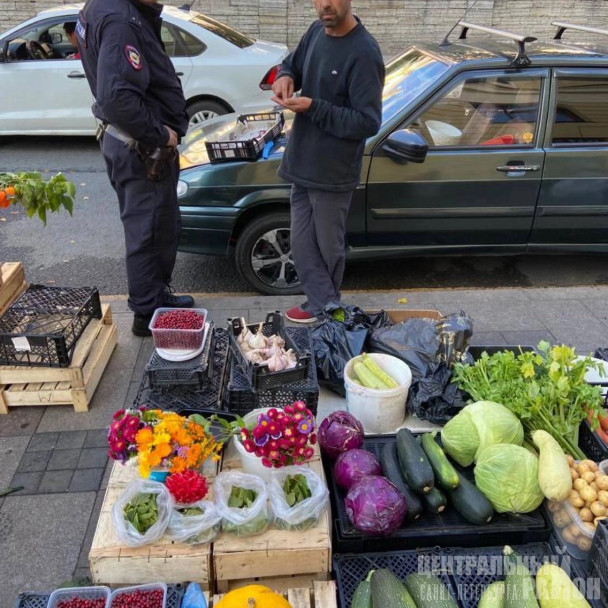 Из центра Петербурга прогнали незаконных торговцев кабачками и цветами - tvspb.ru