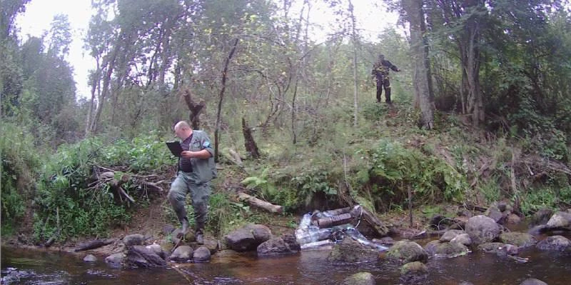 В заказнике «Гладышевский» поймали браконьера - tvspb.ru
