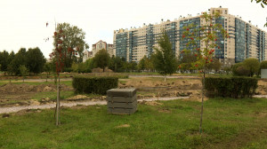 Будет уютно всем и в любую погоду: завершается реконструкция Муринского парка