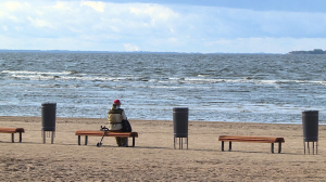 На Сестрорецком пляже завершается благоустройство зоны отдыха
