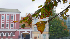 Рекорды, традиции, цвета и звуки петербургской осени