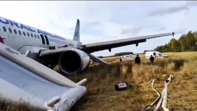 Экстренная посадка самолета в Новосибирской области — что известно