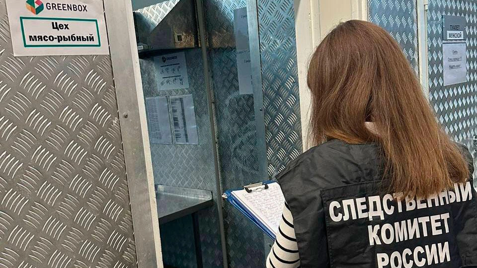 По факту массового отравления готовой едой в Петербурге возбуждено уголовное дело - tvspb.ru