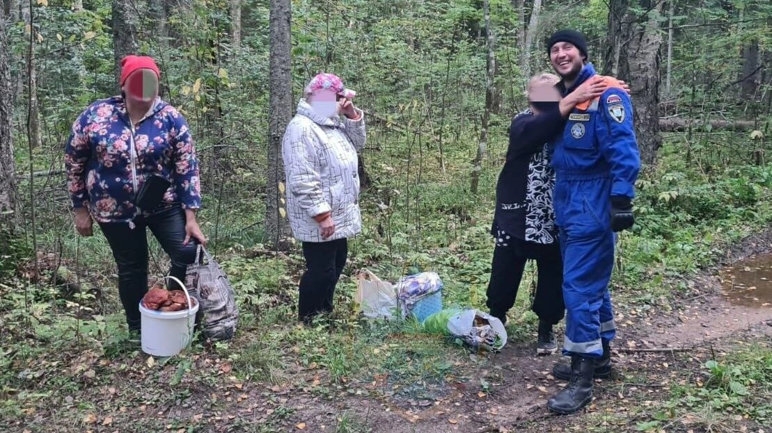 В лесу под Лугой спасатели пришли на помощь любителям тихой охоты - tvspb.ru