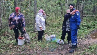В лесу под Лугой спасатели пришли на помощь любителям тихой охоты