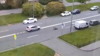 Автомобилям пришлось объезжать парочку, которая прилегла на асфальт на проспекте Энтузиастов