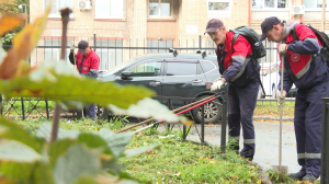 Мы — петербуржцы: дворник Сергей Стрела