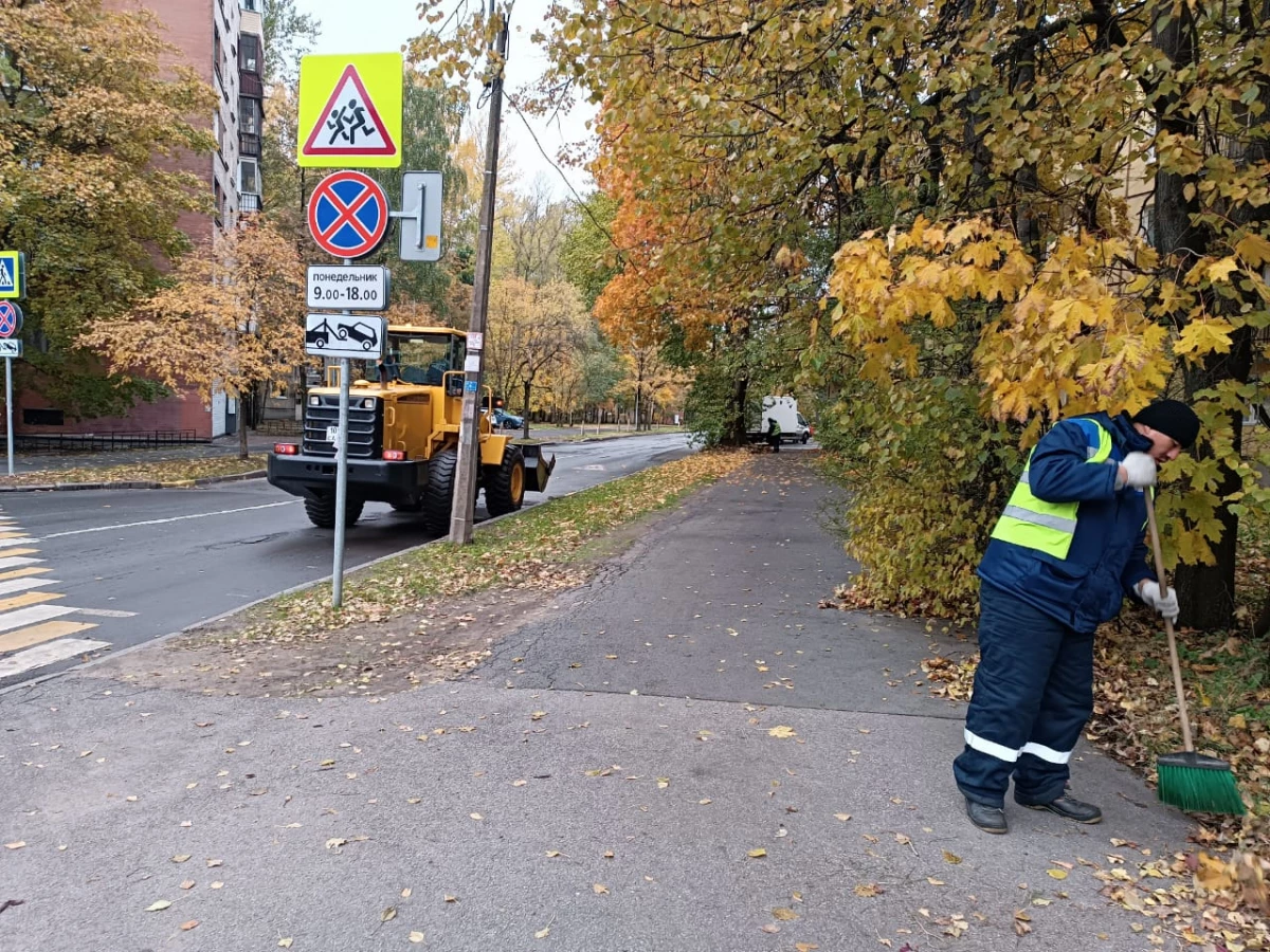 С петербургских улиц вывезли 1100 кубометров мусора на прошлой неделе - tvspb.ru