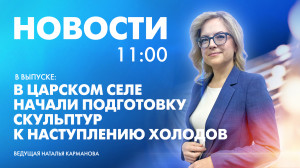 Новости Петербурга к 11:00