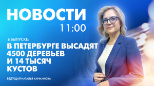 Новости Петербурга к 11:00