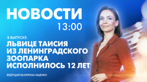 Новости Петербурга к 13:00
