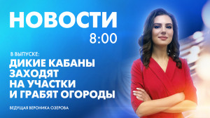 Новости Петербурга к 8:00