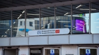 Трехлетний мальчик повредил руку на эскалаторе станции метро «Академическая»