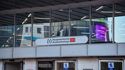 Трехлетний мальчик повредил руку на эскалаторе станции метро «Академическая»