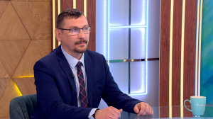 Посадить своё дерево в общем лесу планеты Земля: национальный проект «Экология»