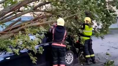 В Петербурге в результате разгула стихии пострадали две женщины
