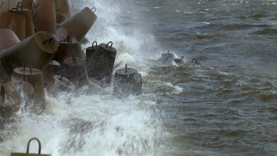 В Петербурге спасатели более 70 раз выезжали на вызовы из-за непогоды