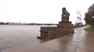 Первый снег и ураган: спасатели Петербурга выезжали 186 раз за сутки из-за непогоды