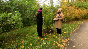 Новые экзотические растения в Павловском парке