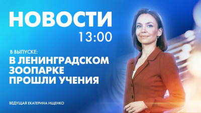 Новости Петербурга к 13:00