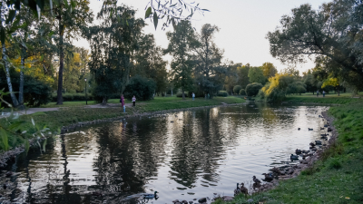 В Петербурге появятся шесть новых парков до 2040 года