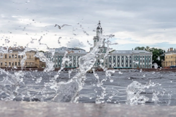 Петербуржцев предупредили о сильном ветре в субботу