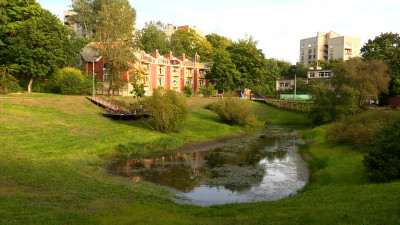 В комитете по благоустройству Петербурга рассказали про состояние береговых линий в городе