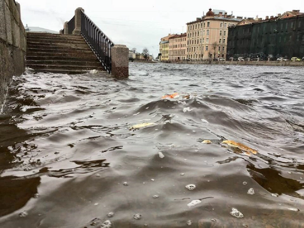 Синоптик заявил о подъеме уровня воды в Петербурге - tvspb.ru
