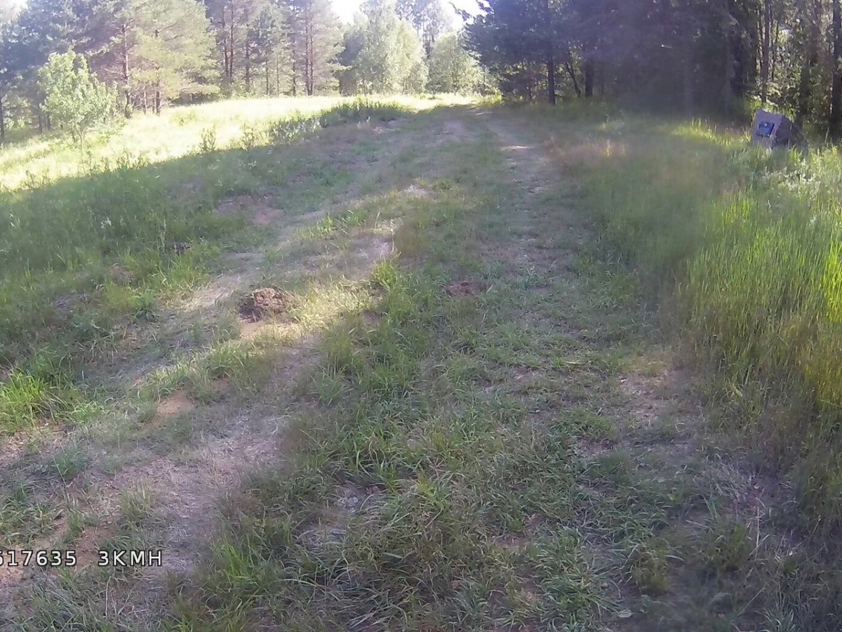 Машины помяли лесную подстилку и мох в заказнике «Гладышевский» - tvspb.ru