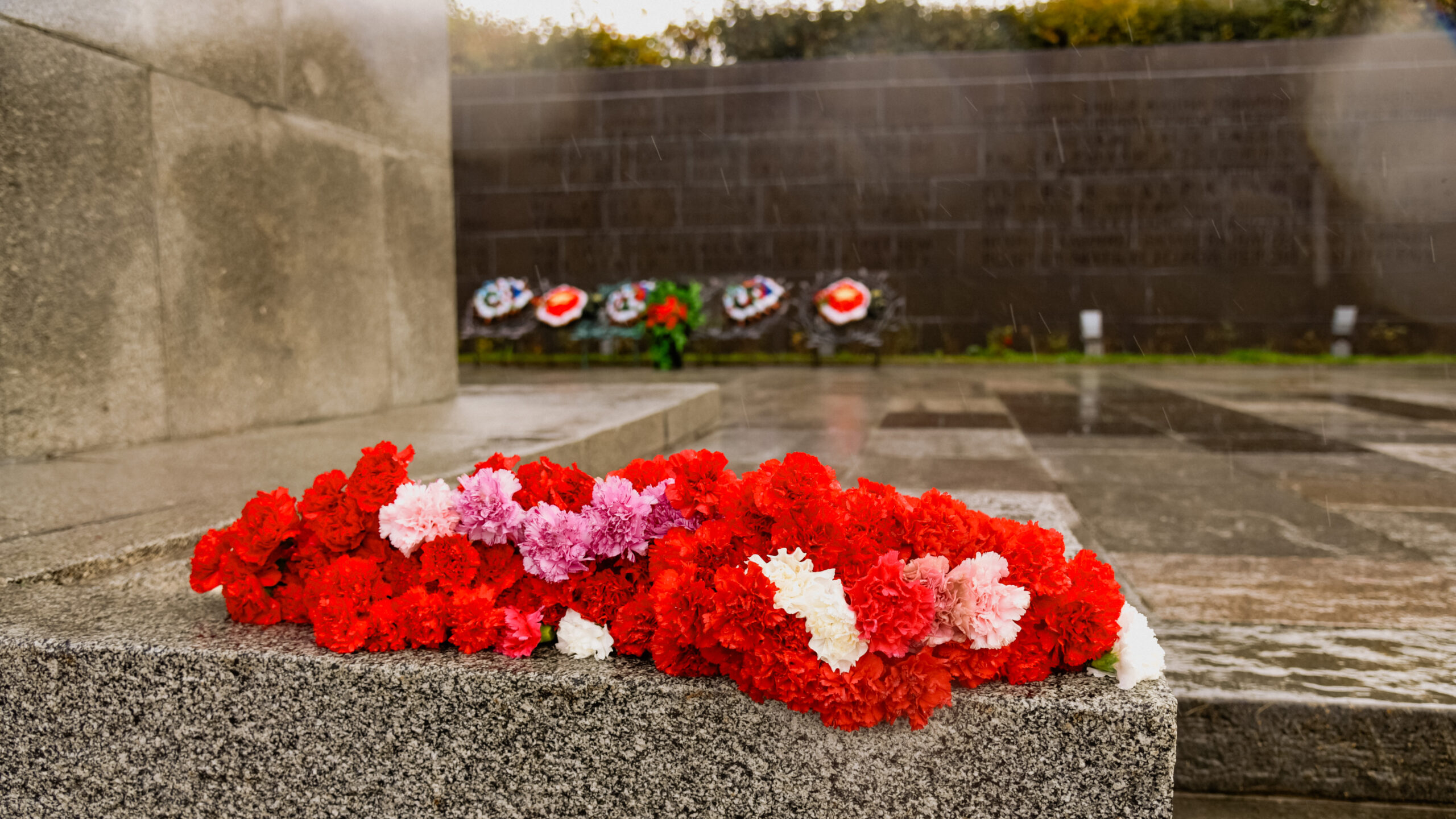 Стало известно, когда проведут в порядок воинское кладбище «Дачное»