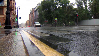 Стихия повалила в Петербурге десятки деревьев и пообрывала провода