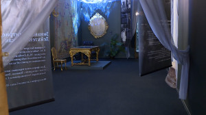 Выставка «С той стороны зеркального стекла&#8230;» в Особняке Румянцева