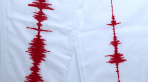 «Выбор носителя»: выставка-экперимент арт-объектов, созданных на основе научных данных