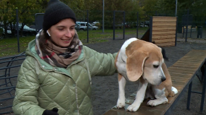 Слалом, тунель, барьер и многое другое. На Среднем проспекте Васильевского острова появилась новая площадка для выгула собак.